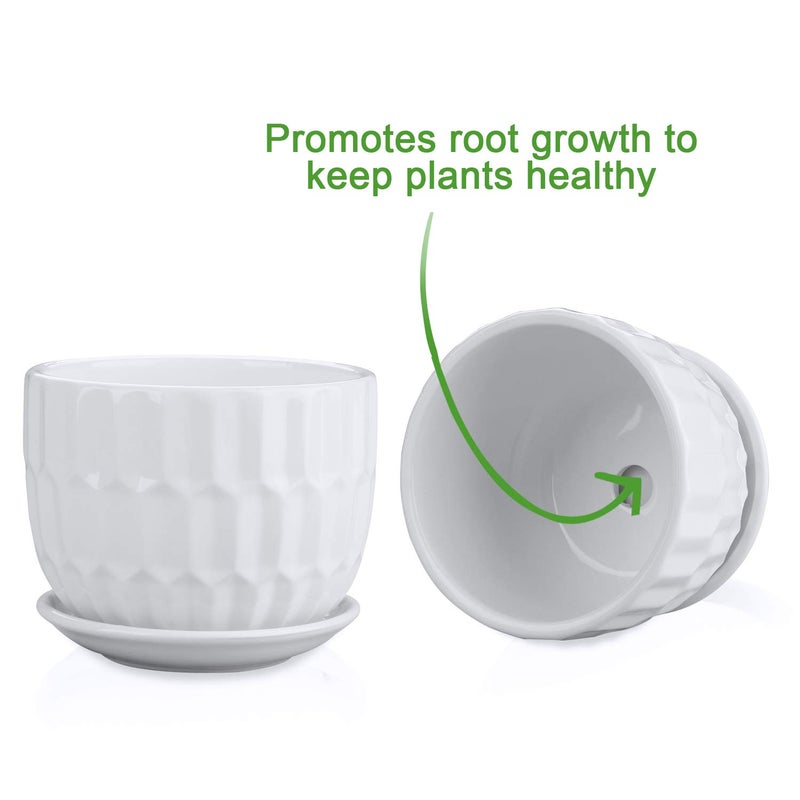 Brajttt Flower Pots, 4 Inch Cylinder Ceramic Plant Pots with Connected Saucer, Mini Ceramic Planters for Succulent and Little Snake Plants (6 Pack, White) - Image 4